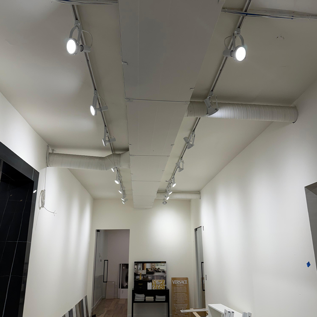 Gallery 11